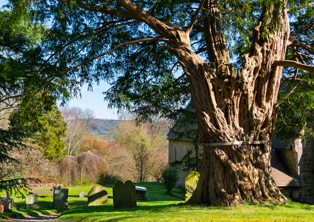 Ancient witness across the ages