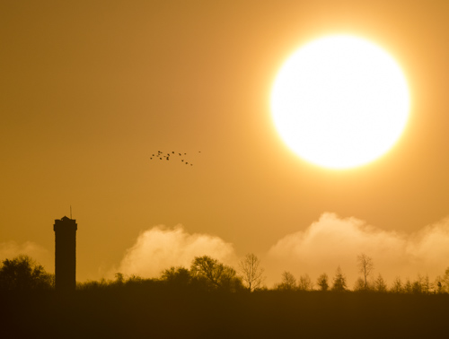 Flounders' Folly