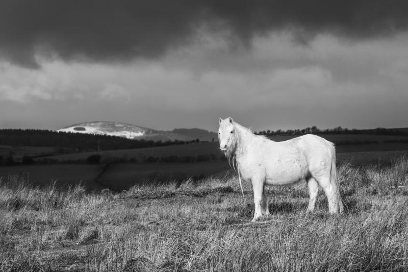 Monochrome Shropshire