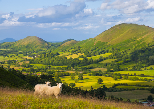 Stretton Hills