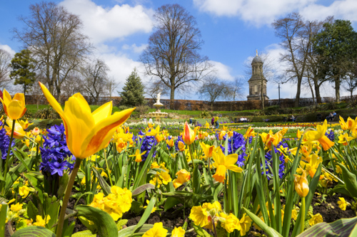 Shrewsbury