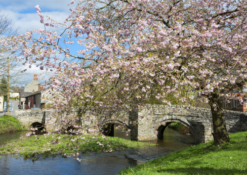Clun