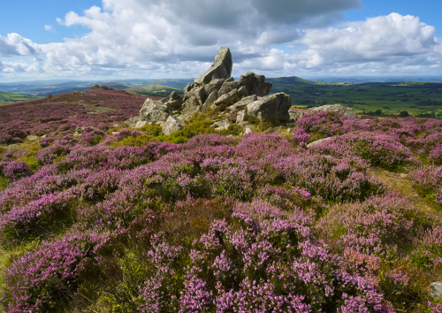 The Stiperstones