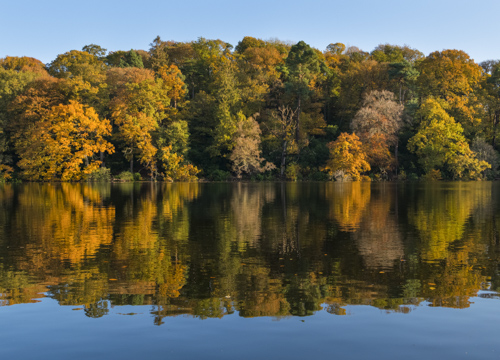 Blakemere