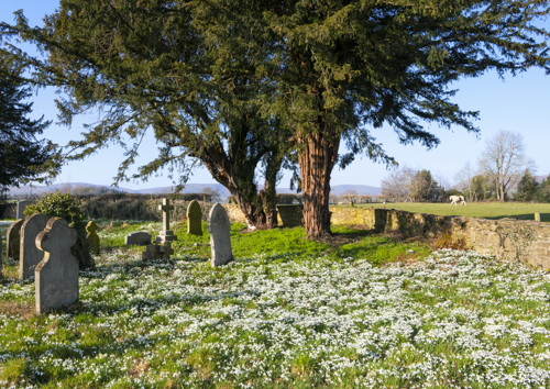 Acton Scott