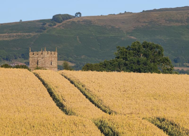Holdgate