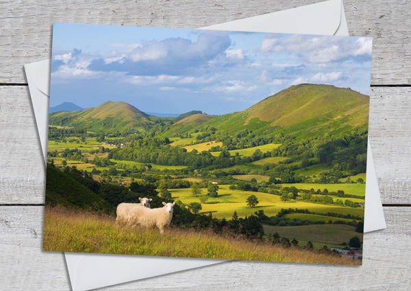 Greetings cards