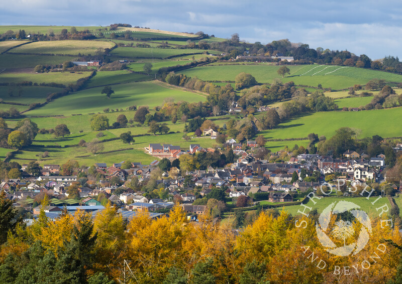 Bishop's Castle, seen from Oakeley Mynd, Shropshire.