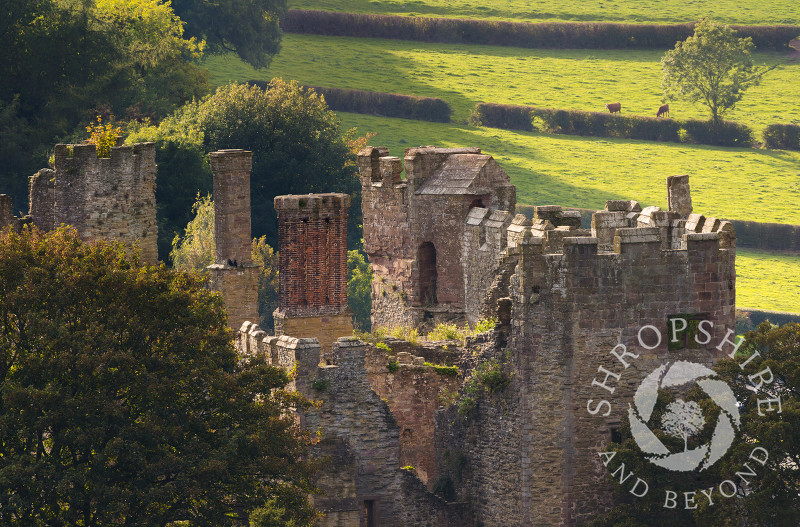 Ludlow Castle seen from the tower of St Laurence's Church, Ludlow, Shropshire.